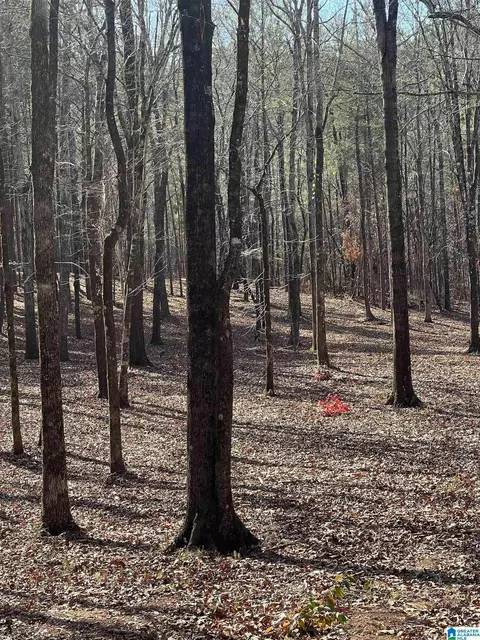 522 Ronbar Rd #0, Columbiana, AL 35051