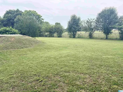 169 Guy St, Jemison, AL 35085 photo 9