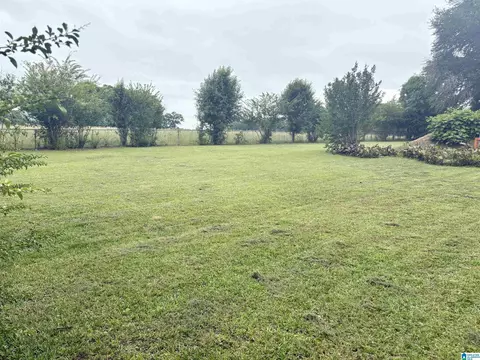 169 Guy St, Jemison, AL 35085 photo 8