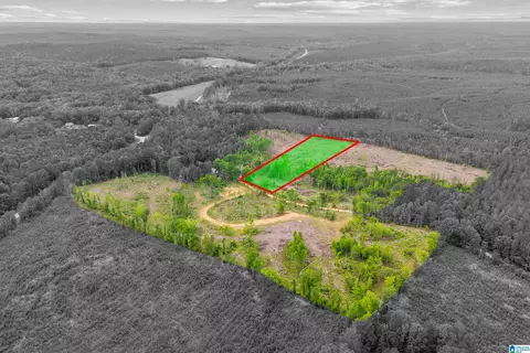 active road, Lawley, AL 36793