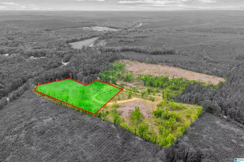 active road, Lawley, AL 36793