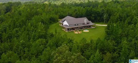 1434 County Road 864, Wadley, AL 36276