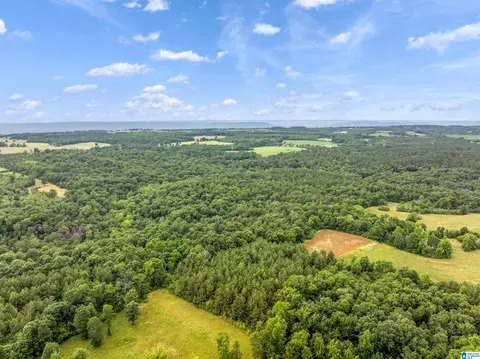 0 County Road 605 #0, Section, AL 35771 photo 7