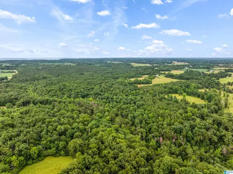 0 County Road 605 #0, Section, AL 35771 photo 6