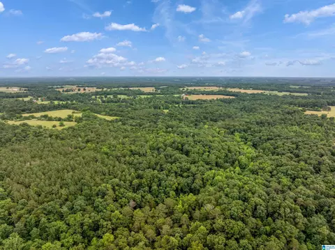 0 County Road 605 #0, Section, AL 35771 photo 5
