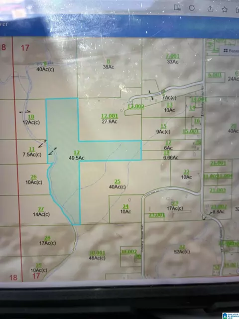 0 County Road 605 #0, Section, AL 35771