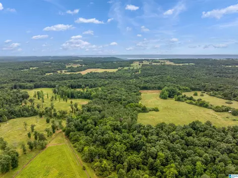 0 County Road 605 #0, Section, AL 35771 photo 3
