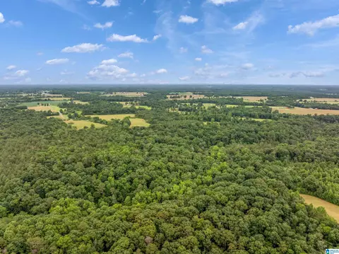 0 County Road 605 #0, Section, AL 35771 photo 4