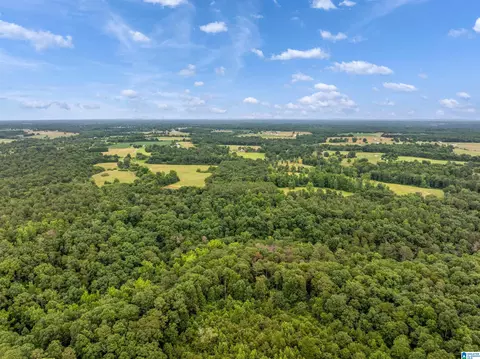 0 County Road 605 #0, Section, AL 35771