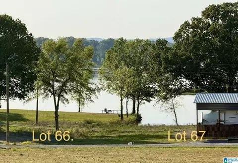 225 County Road 115 #66 AND 67, Cedar Bluff, AL 35959