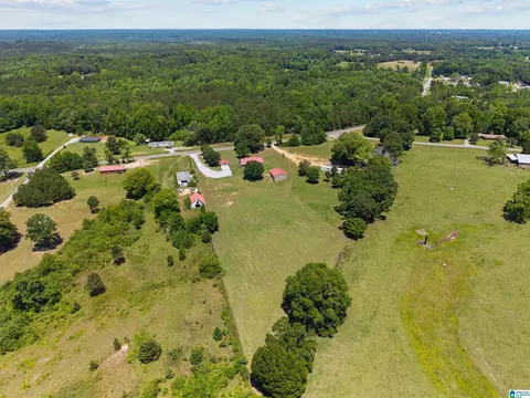 View/Area - 6601 County Road 37, Clanton, AL 35045 photo 8 of 8