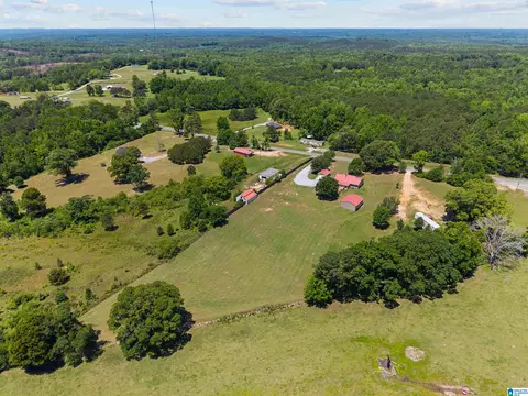 View/Area - 6601 County Road 37, Clanton, AL 35045 photo 7 of 8