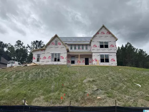 3273 Riverbirch Trl, Chelsea, AL 35043