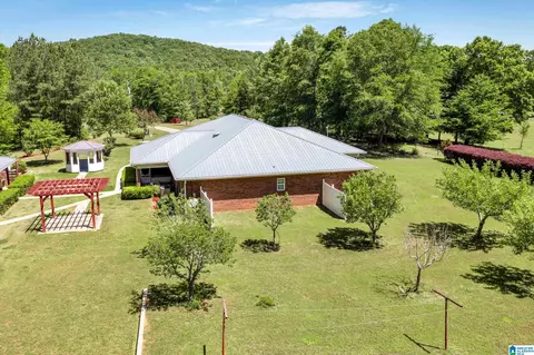 466 Seven Springs Rd, Wellington, AL 36279