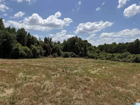 0 County Road 87 #1, Roanoke, AL 36274