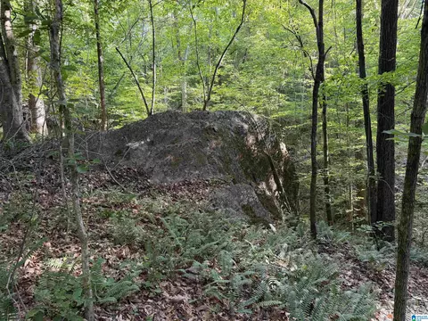 0 County Road 87 #2, Roanoke, AL 36274