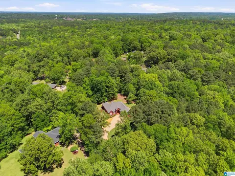 View/Area - 141 Ashley Pl, Dora, AL 35062 photo 1 of 1