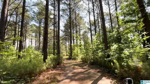 Other - 5145 Pine Mountain Rd, Remlap, AL 35133 photo 23 of 41