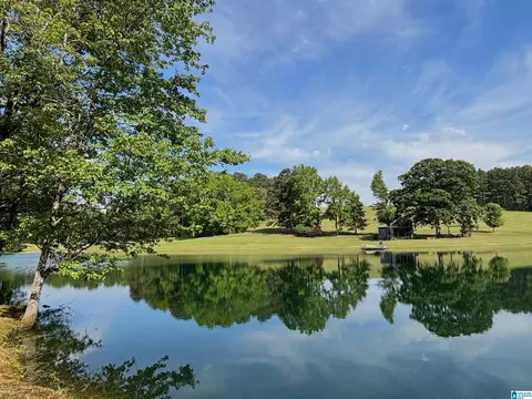 View/Area - 5145 Pine Mountain Rd, Remlap, AL 35133 photo 1 of 17