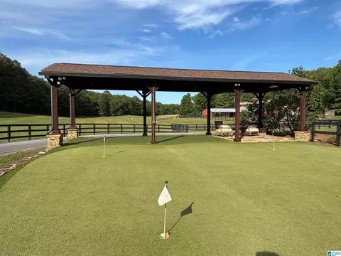 Other - 5145 Pine Mountain Rd, Remlap, AL 35133 photo 19 of 41