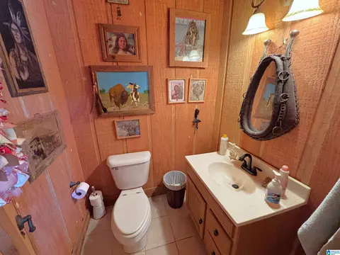 Bath - 5145 Pine Mountain Rd, Remlap, AL 35133 photo 10 of 10