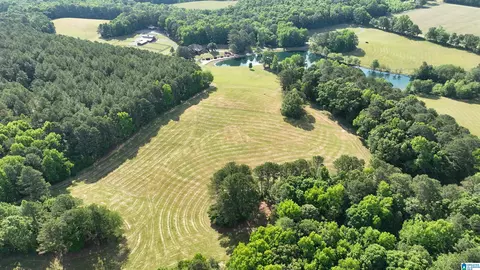 View/Area - 5145 Pine Mountain Rd, Remlap, AL 35133 photo 11 of 17