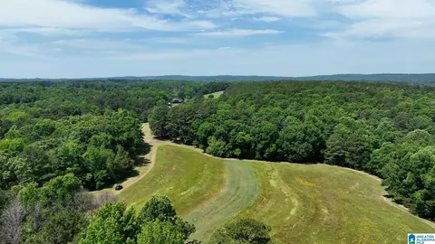 Other - 5145 Pine Mountain Rd, Remlap, AL 35133 photo 28 of 41