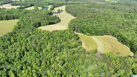 Other - 5145 Pine Mountain Rd, Remlap, AL 35133 photo 40 of 41