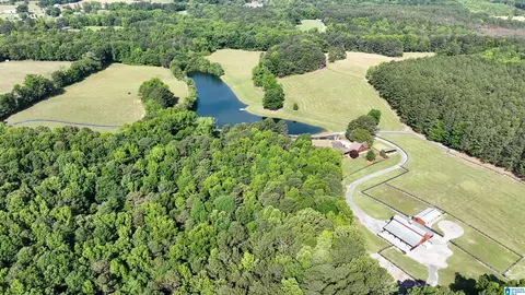 View/Area - 5145 Pine Mountain Rd, Remlap, AL 35133 photo 14 of 17