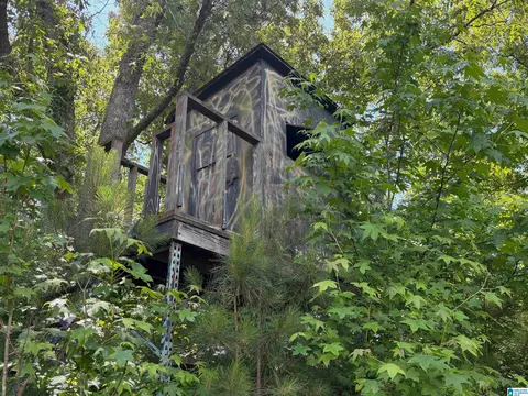 Other - 5145 Pine Mountain Rd, Remlap, AL 35133 photo 35 of 41