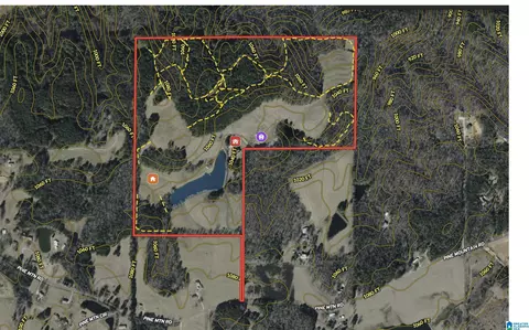 View/Area - 5145 Pine Mountain Rd, Remlap, AL 35133 photo 3 of 17