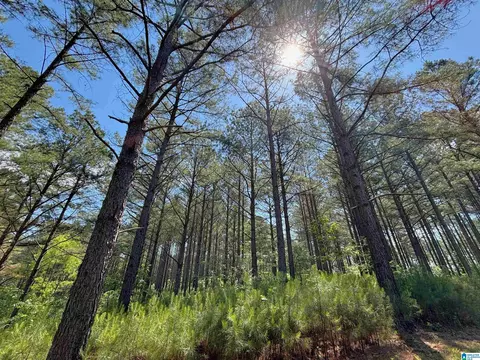 Other - 5145 Pine Mountain Rd, Remlap, AL 35133 photo 33 of 41