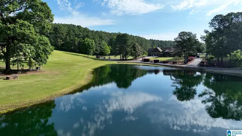 View/Area - 5145 Pine Mountain Rd, Remlap, AL 35133 photo 5 of 17