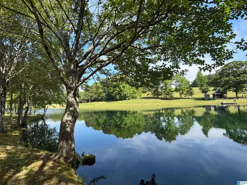 View/Area - 5145 Pine Mountain Rd, Remlap, AL 35133 photo 10 of 17