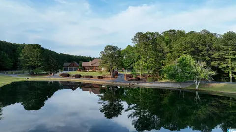 View/Area - 5145 Pine Mountain Rd, Remlap, AL 35133 photo 15 of 17