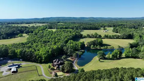 View/Area - 5145 Pine Mountain Rd, Remlap, AL 35133 photo 2 of 17