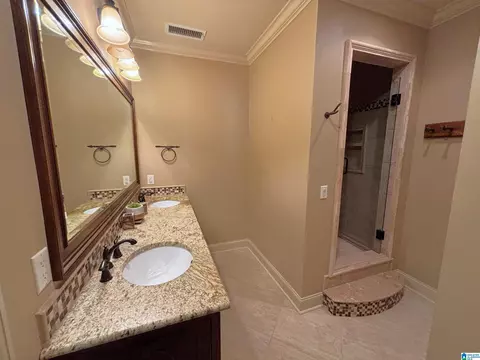 Bath - 5145 Pine Mountain Rd, Remlap, AL 35133 photo 9 of 10