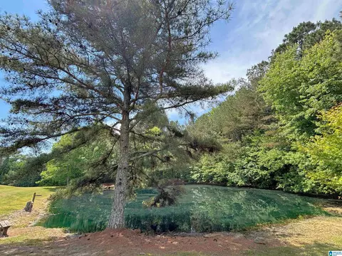 Other - 5145 Pine Mountain Rd, Remlap, AL 35133 photo 34 of 41