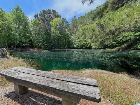 View/Area - 5145 Pine Mountain Rd, Remlap, AL 35133 photo 8 of 17