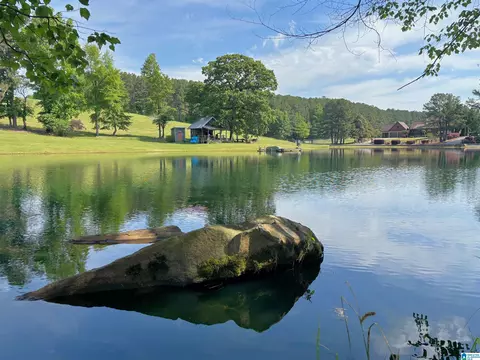 View/Area - 5145 Pine Mountain Rd, Remlap, AL 35133 photo 7 of 17