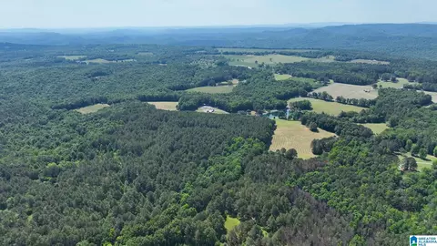 Other - 5145 Pine Mountain Rd, Remlap, AL 35133 photo 29 of 41