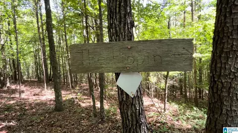 Other - 5145 Pine Mountain Rd, Remlap, AL 35133 photo 31 of 41