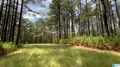 Other - 5145 Pine Mountain Rd, Remlap, AL 35133 photo 25 of 41
