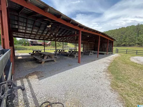 Exterior - 5145 Pine Mountain Rd, Remlap, AL 35133 photo 5 of 11