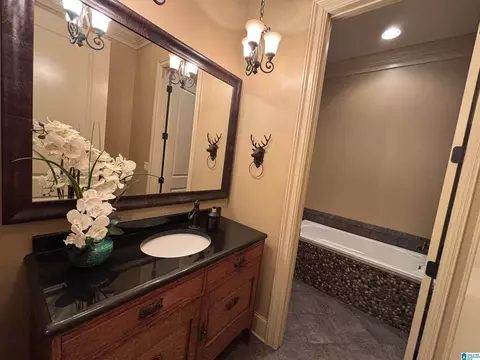 Bath - 5145 Pine Mountain Rd, Remlap, AL 35133 photo 5 of 10