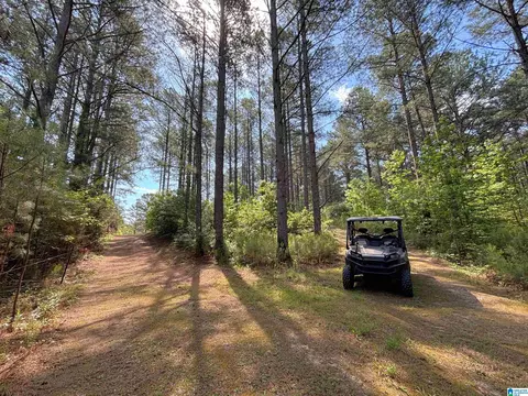 Other - 5145 Pine Mountain Rd, Remlap, AL 35133 photo 32 of 41