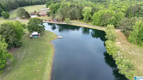 View/Area - 5145 Pine Mountain Rd, Remlap, AL 35133 photo 6 of 17