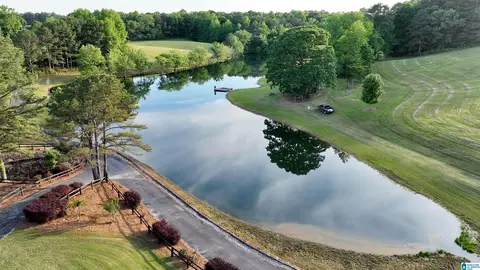 View/Area - 5145 Pine Mountain Rd, Remlap, AL 35133 photo 17 of 17
