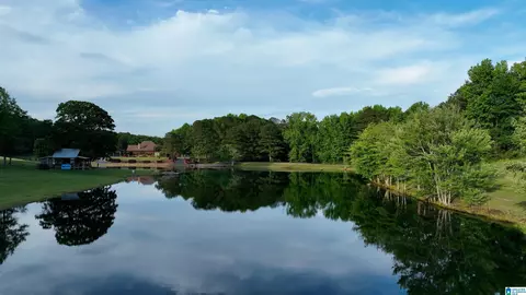 View/Area - 5145 Pine Mountain Rd, Remlap, AL 35133 photo 16 of 17