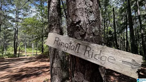Other - 5145 Pine Mountain Rd, Remlap, AL 35133 photo 27 of 41